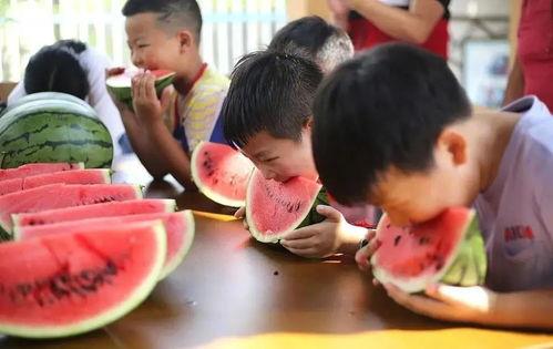 吃瓜大赛 不打烊,不打烊的瓜界盛宴